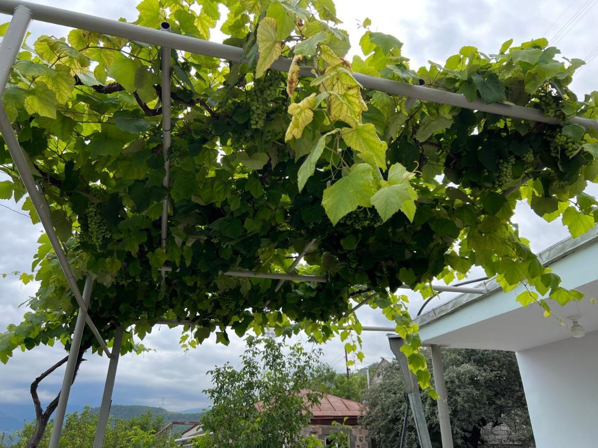 Arman Bed And Breakfast Halidzor Exterior foto